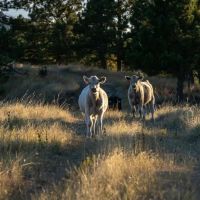 JM Ranch images 5