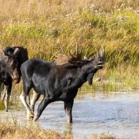 Cassia Creek Ranch