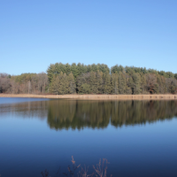 644 Acres Cadiz Springs SRA for hunting turkey in Green,WI images 3
