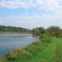 644 Acres Cadiz Springs SRA for hunting turkey in Green,WI images 4
