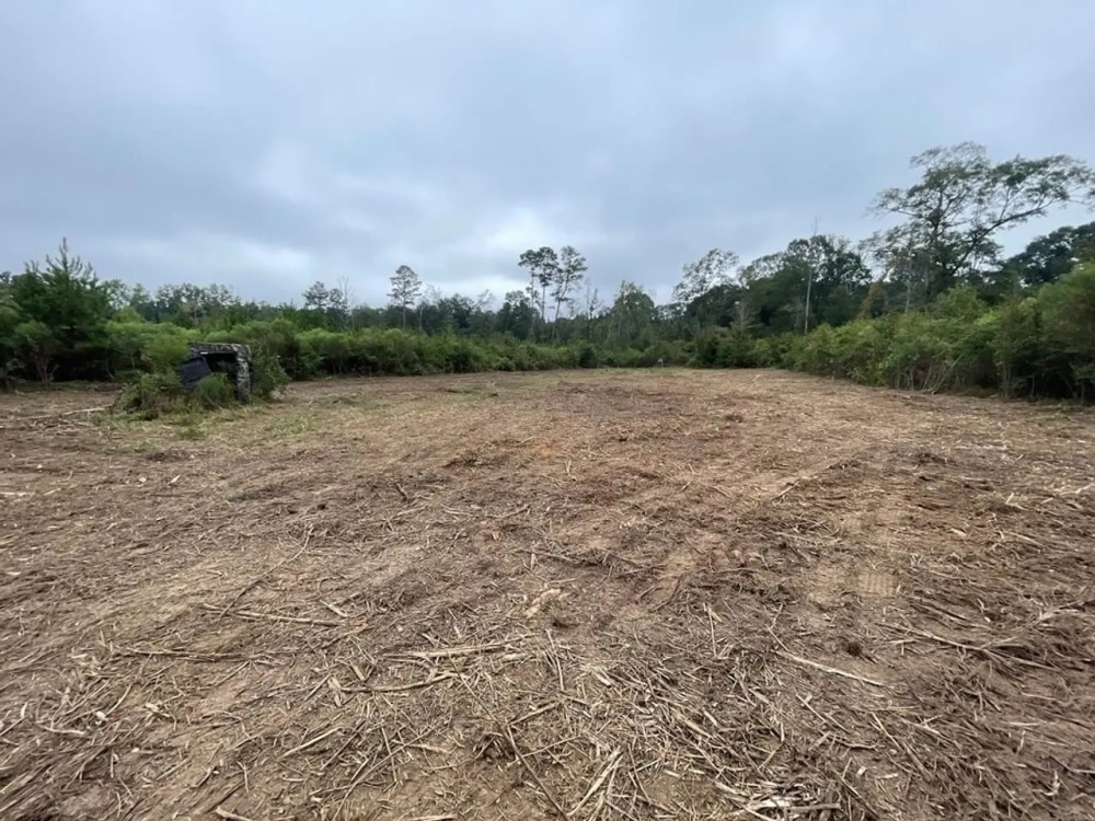 Amite River Hunting Tract For Sale featured image