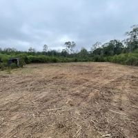 Amite River Hunting Tract For Sale