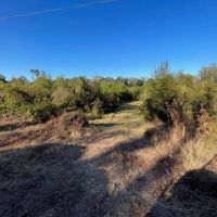 Amite River Hunting Tract For Sale images 4