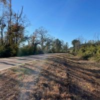 Amite River Hunting Tract For Sale images 5