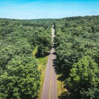 Land Timber 15