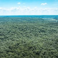 Land Timber 15 images 2