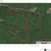 Land Timber 15 images 5
