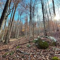 Maxwell Mountain images 2