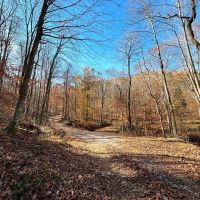 Maxwell Mountain images 3