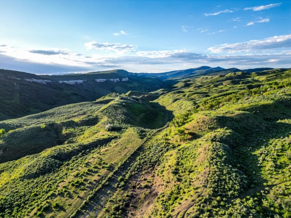 Buffalo K Ranch featured image