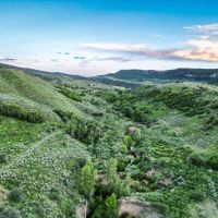 Buffalo K Ranch images 4