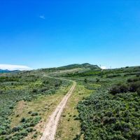 Buffalo K Ranch images 5