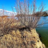 Morrill Co. NE 224.42 images 4