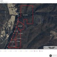 Land Timber 235 images 4