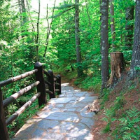3068 Acres Copper Falls State Park Turkey Hunting in Ashland, WI images 5
