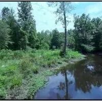 646 Acres in Newton County in Perdue MS images 3