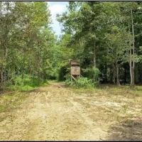 646 Acres in Newton County in Perdue MS images 5