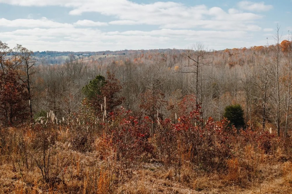 KY TN State Line Building Lot 10 acres featured image