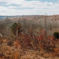 KY TN State Line Building Lot 10 acres