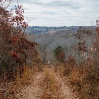 KY TN State Line Building Lot 10 acres images 3