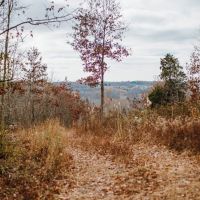 KY TN State Line Building Lot 10 acres images 4