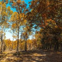 Cook Riverside Farm Tract 1 images 2