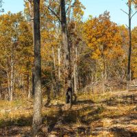 Cook Riverside Farm Tract 1 images 3