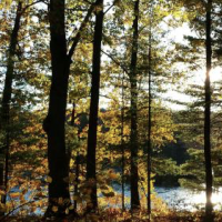 509 Acres Council Grounds State Park Duck hunting in Lincoln, WI images 5