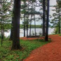 509 Acres Council Grounds State Park Duck hunting in Lincoln, WI images 4