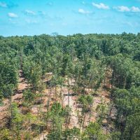 Land Timber 49 images 2