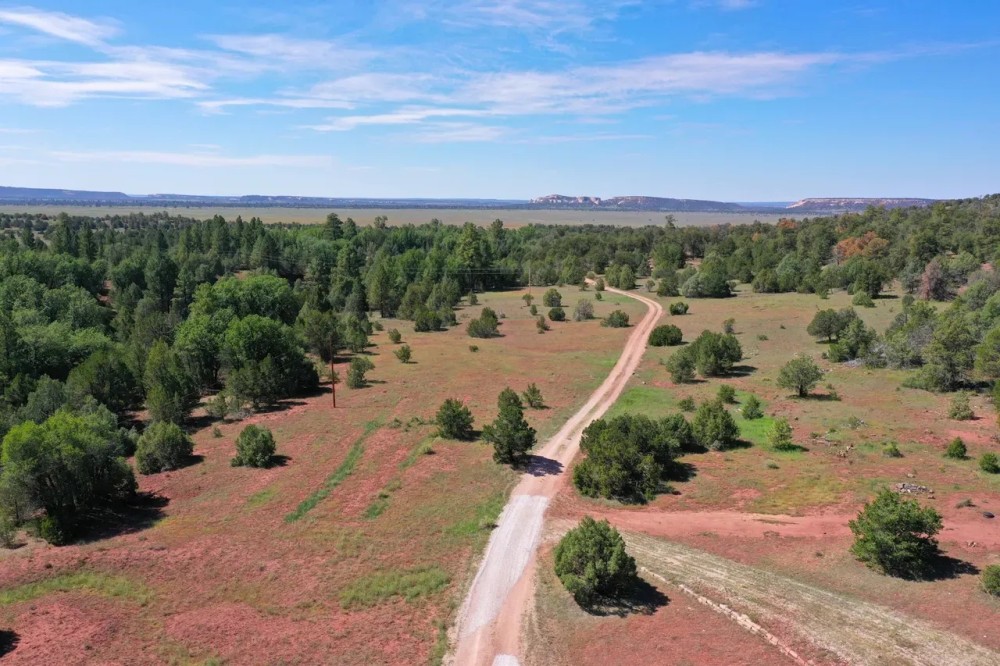 Oso Creek Ranch featured image