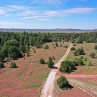 Oso Creek Ranch