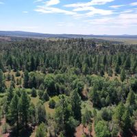 Oso Creek Ranch images 5