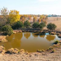 Cook Riverside Farm Tract 4 images 3