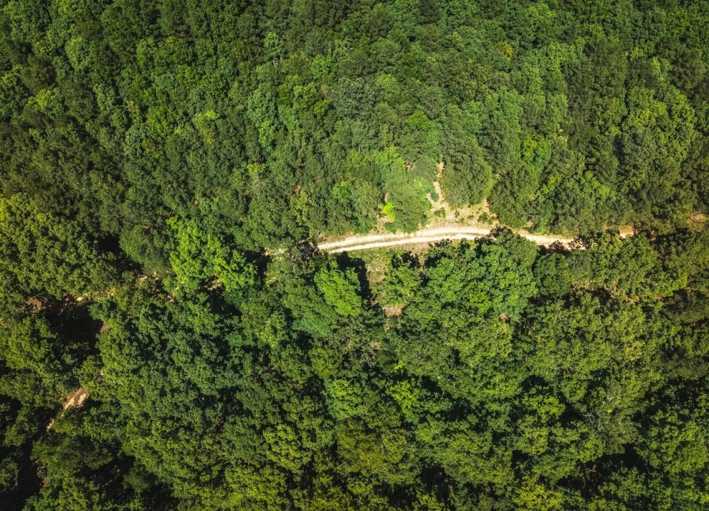 Land Timber 60 featured image
