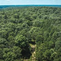 Land Timber 60 images 2