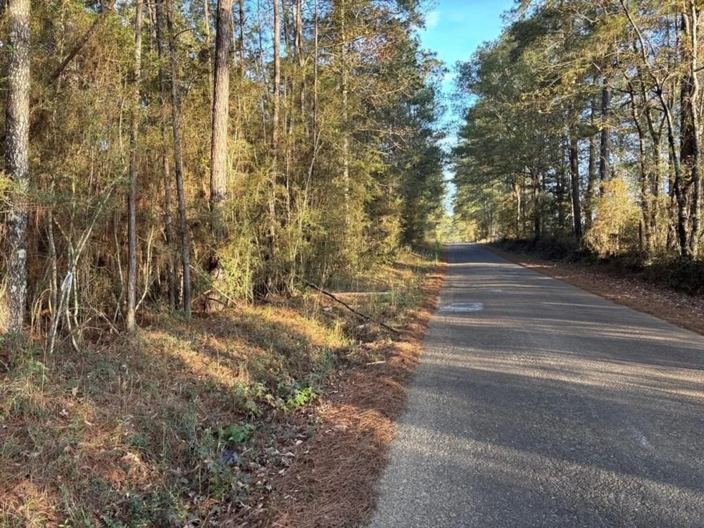 7.5 Acres in Pike County MS featured image