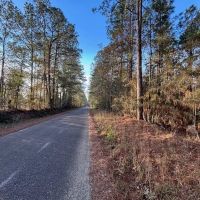 7.5 Acres in Pike County MS images 4