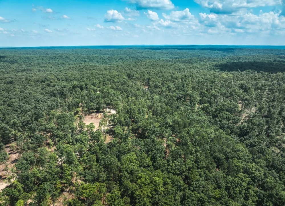 Land Timber 26 featured image