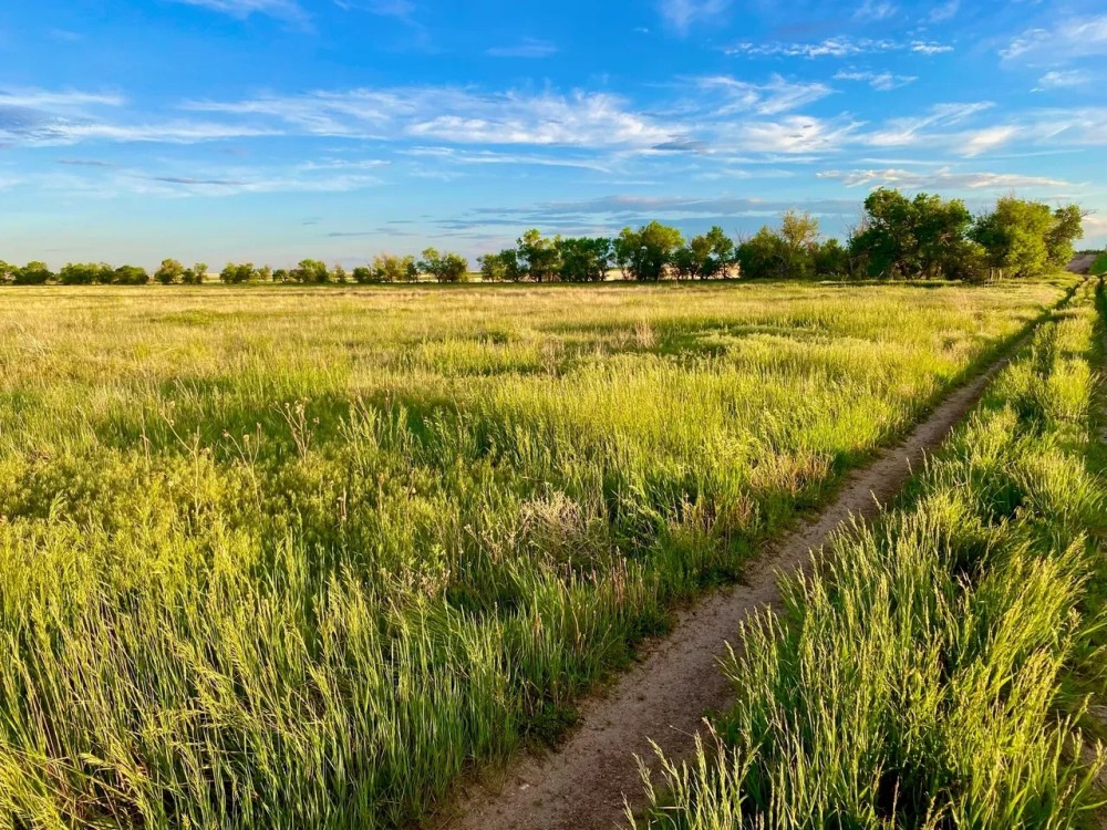 Cheyenne Co. NE 808.04 featured image