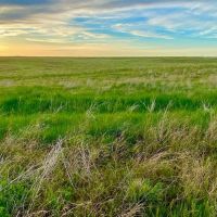 Cheyenne Co. NE 808.04 images 3