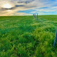 Cheyenne Co. NE 808.04 images 5