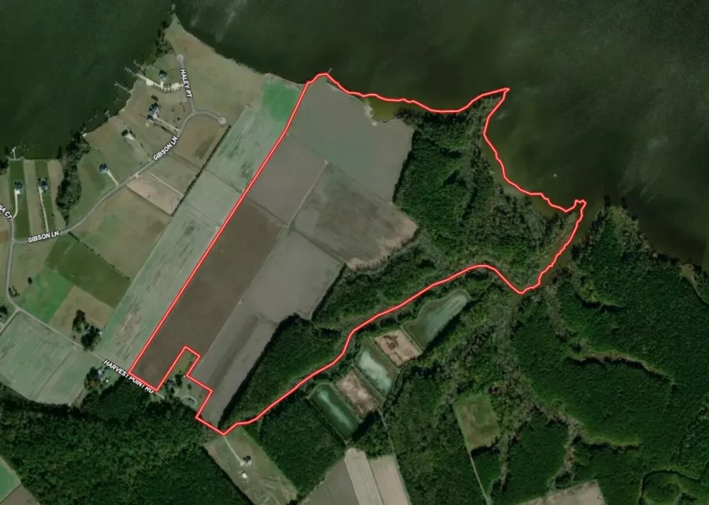 170 acres of Farm Hunting and Development Land for Sale in Pasquotank County NC featured image