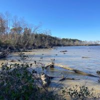 170 acres of Farm Hunting and Development Land for Sale in Pasquotank County NC images 3