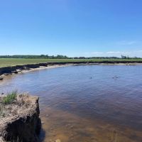 170 acres of Farm Hunting and Development Land for Sale in Pasquotank County NC images 4
