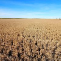 Income Producing Cropland bordering I80 near Sidney NE images 3