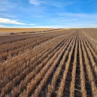 Income Producing Cropland bordering I80 near Sidney NE images 4