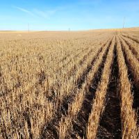 Income Producing Cropland bordering I80 near Sidney NE images 5