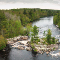Flambeau River State Forest 90,147 acres of Elk hunting in Sawyer, WI images 5
