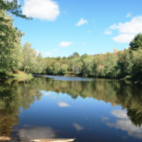 Flambeau River State Forest 90,147 acres of Elk hunting in Sawyer, WI images 4
